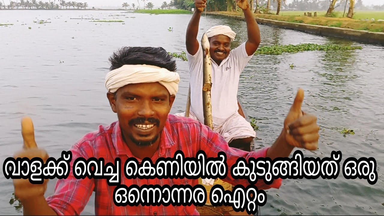 വാളക്ക് വെച്ച കെണിയില്‍ കുടുങ്ങിയത് ഒരു ഒന്നൊന്നര ഐറ്റം | #kuttanadvillagefishing