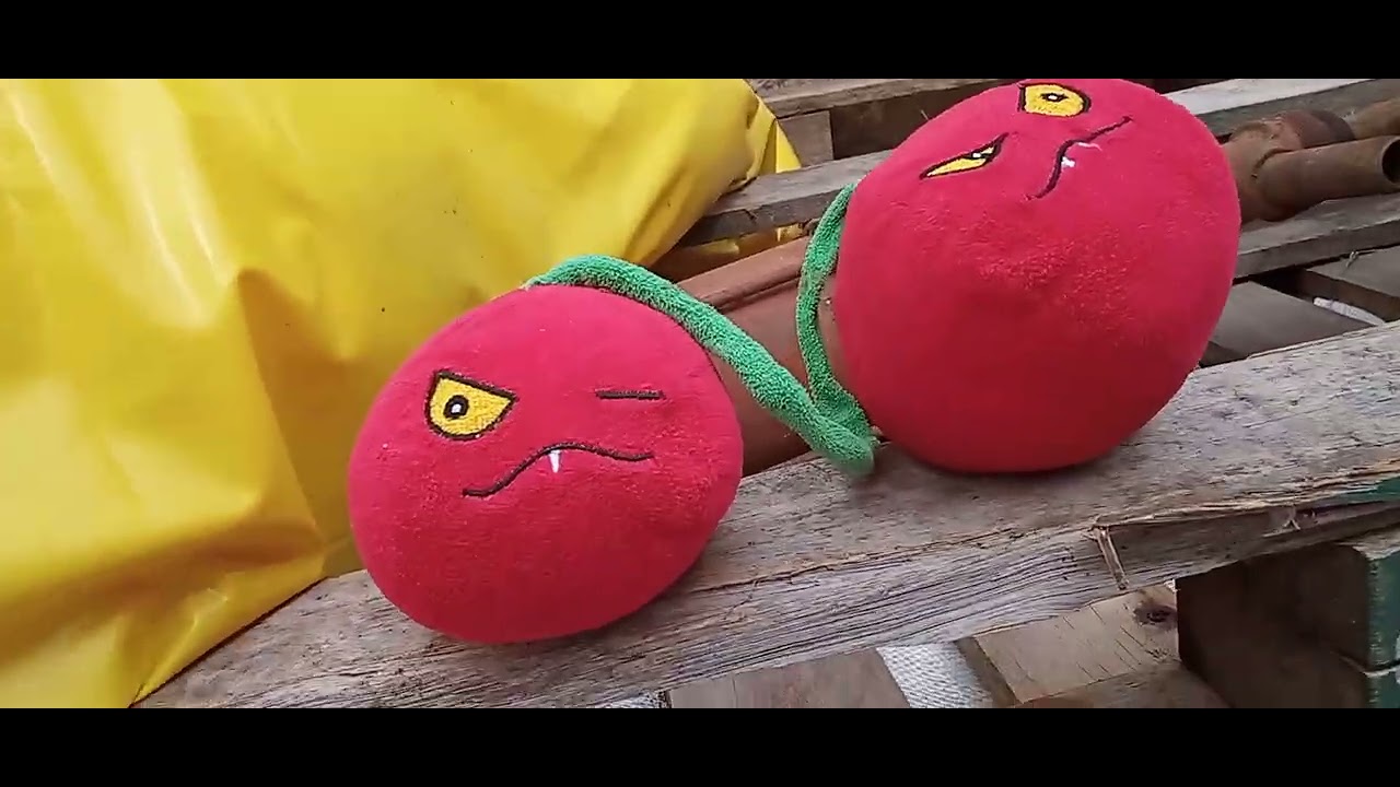 PvZ Plush: Explode, Explode, Cherry Bomb!