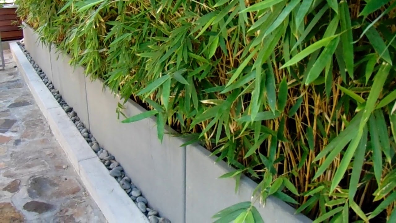 Mexican Beach Pebbles For Drain Cover Edging