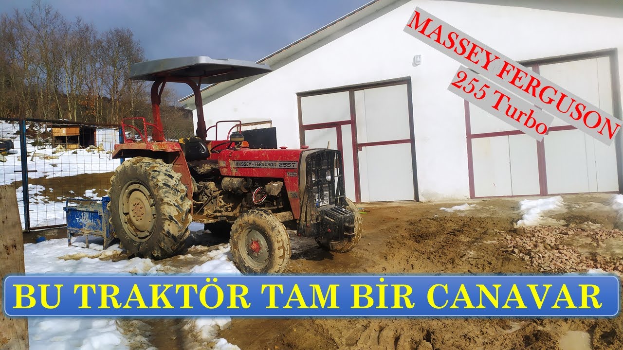 MASSEY FERGUSON 255 T'nin ÇAMURLA İMTAHANI - ÇİFTLİĞİMİZDEKİ GÜNLÜK İŞLER