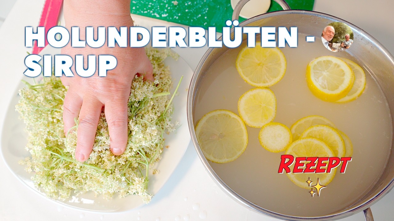 Gesunder Holunder-Sirup Bestes Rezept für selbstgemachte Limonade & Cocktails mit und ohne Alkohol 🍹