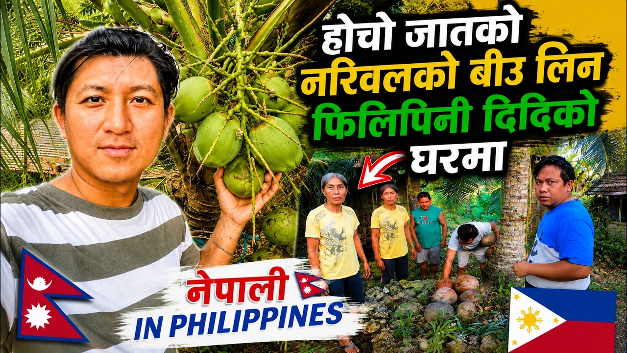 Sanaima fal dine Dwarf Coconut// Nepali in Philippines