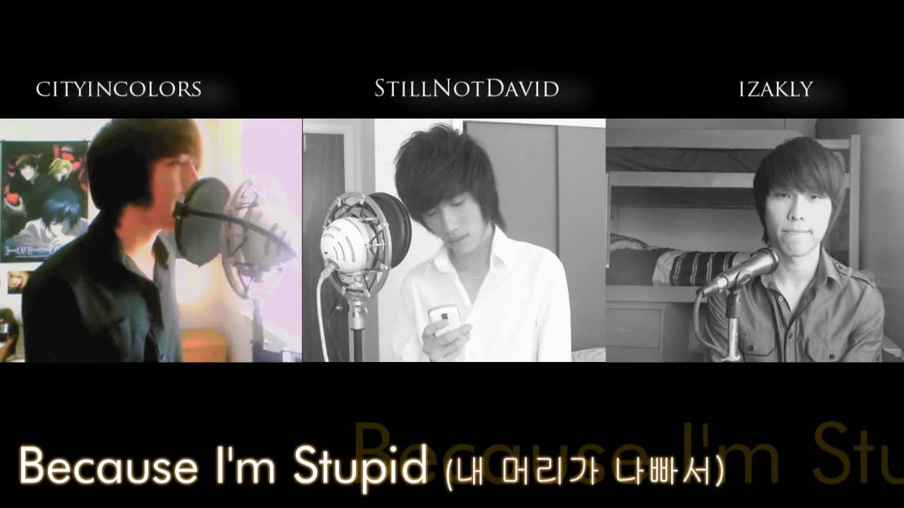 [COLLAB COVER] Because I'm Stupid (내 머리가 나빠서) - StillNotDavid & cityincolors & izAkly