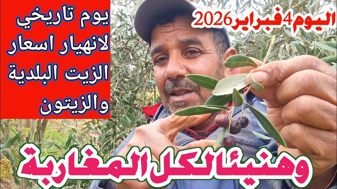 🔥 انهيار تاريخي لأسعار زيت الزيتون البكر الممتاز اليوم 4/2/2026… شحال ولى الثمن؟!