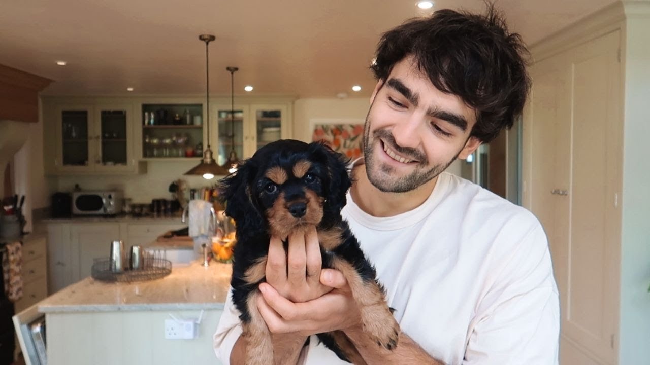 MEET BASIL!... OUR NEW PUPPY