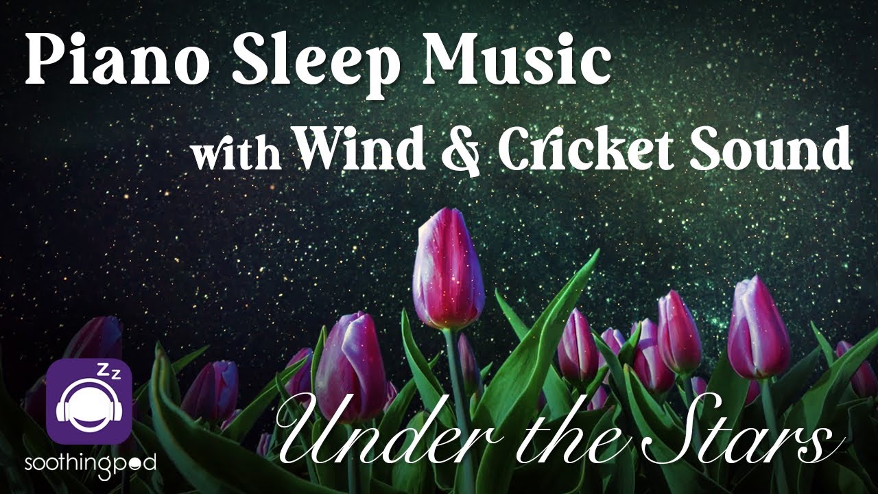 Relaxing Sleep Music | Restful Heart: Under the Stars 🌌🎵| Piano Sleep Music w/ Wind & Cricket Sounds