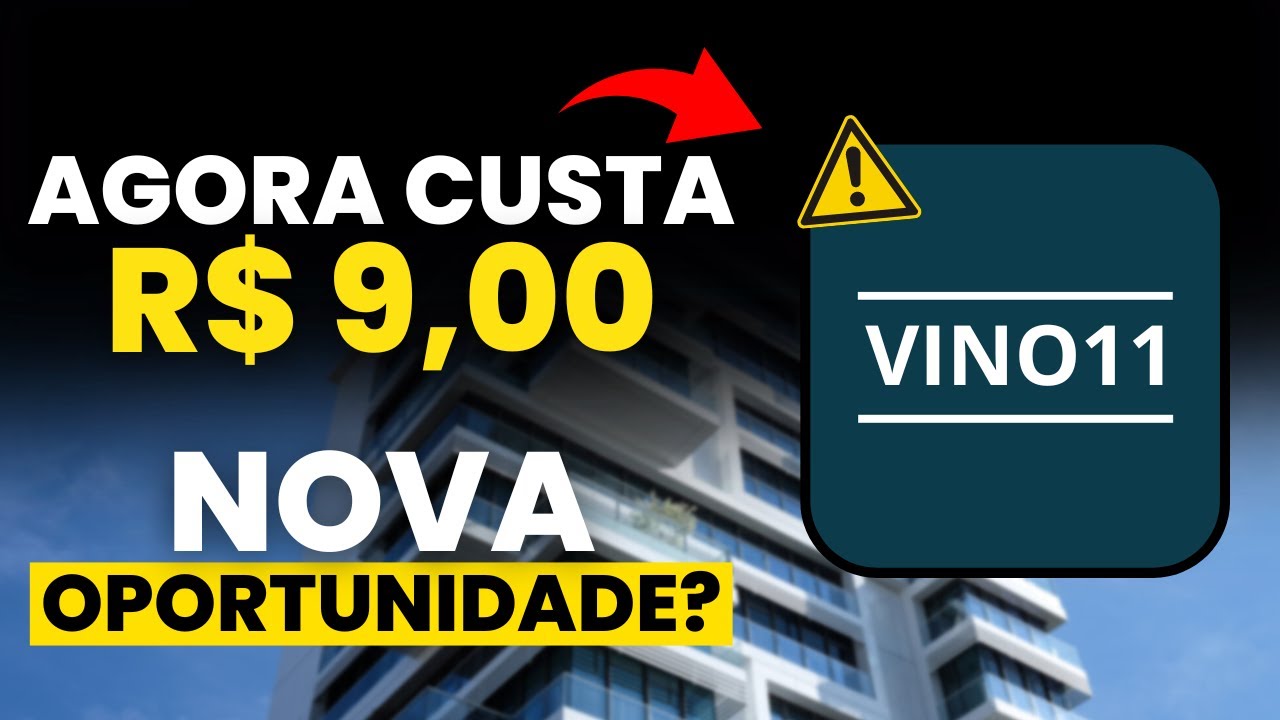 VINO11: OPORTUNIDADE OU RISCO? Minha opinião completa