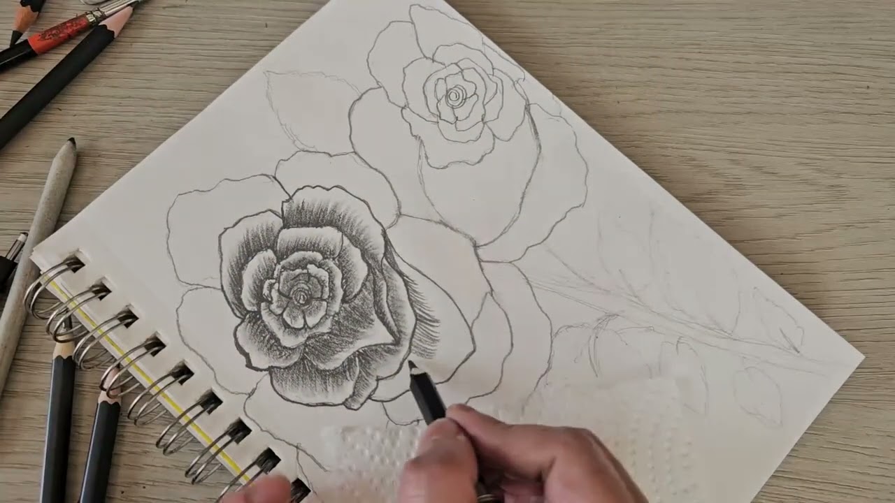Easy Rose Drawing for Beginners | Pencil Sketch Time-Lapse