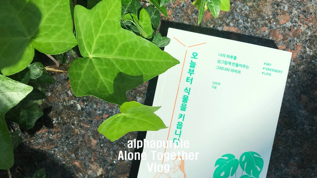 [Vlog]에세이 작가.식물 에세이.책추천.작가 브이로그.작가 일상.식물.그랜드하얏트.vlog.writer.plant.essay.ensayo.plant.grandhyatt.