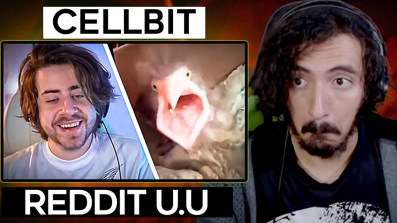 aqueles memes do reddit pra você dar boas risadas - Cellbit | Leozin React