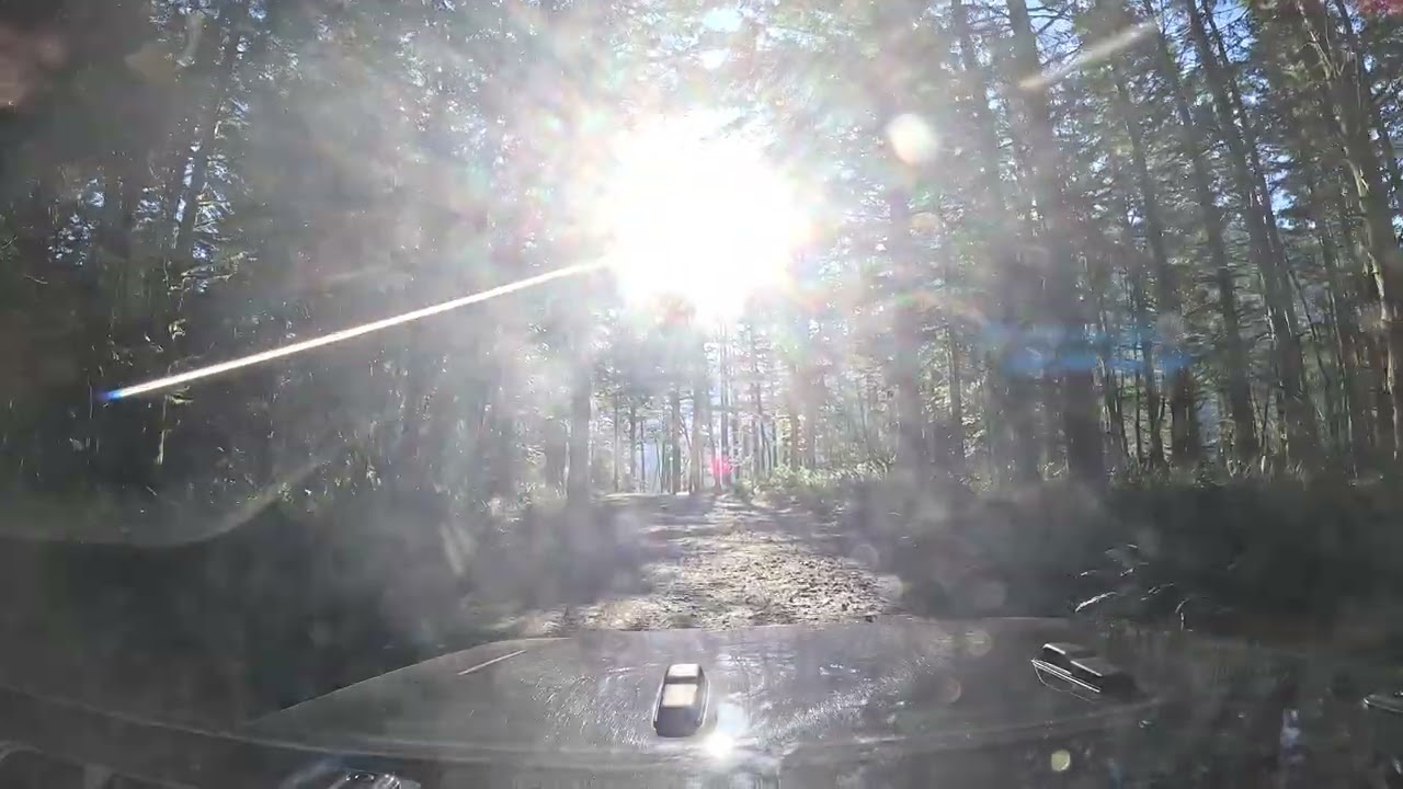 OffRoading Trail near Mt Rainier, Jeep Wrangler POV