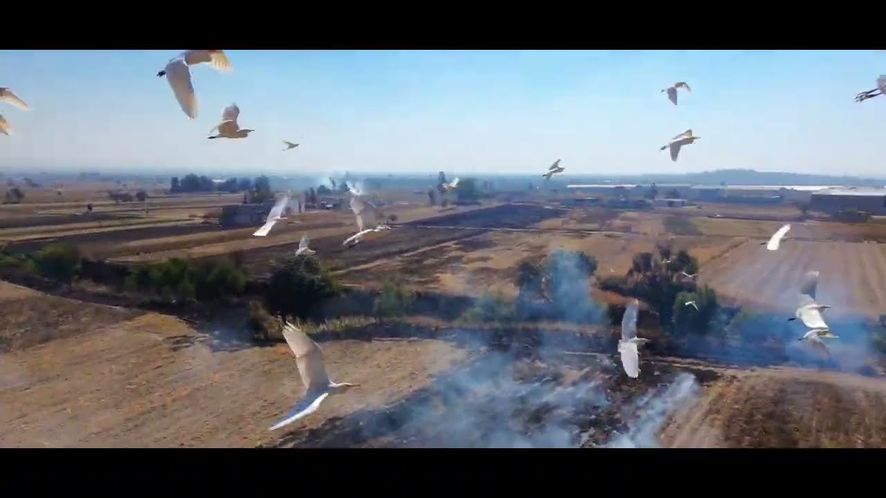 #TLAXCALA #senderismo #dron 