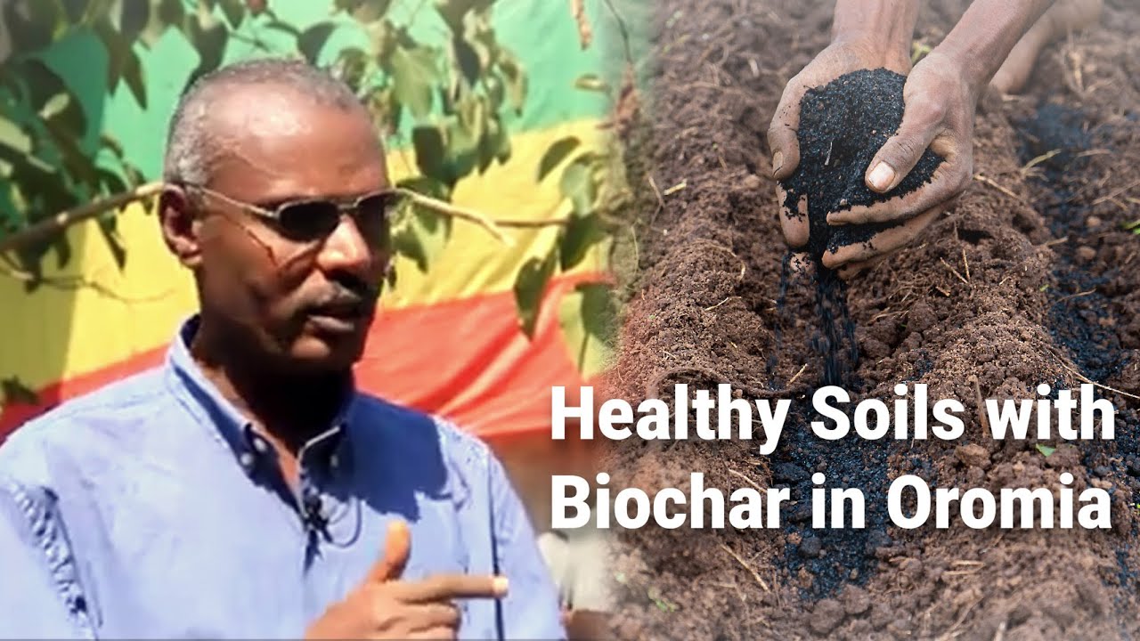 Healthy Soils with Biochar in Oromia