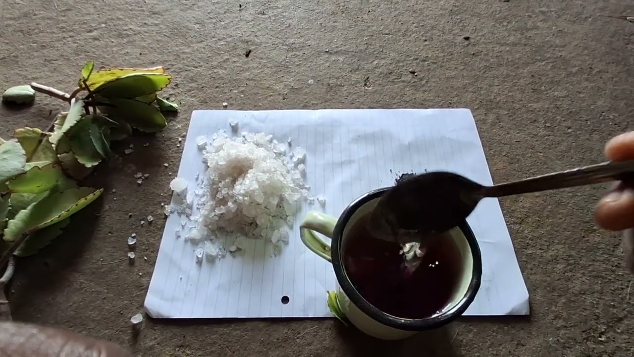 Uhlushwa isilwane‼️‼️‼️👇 Spiritual husband/wife