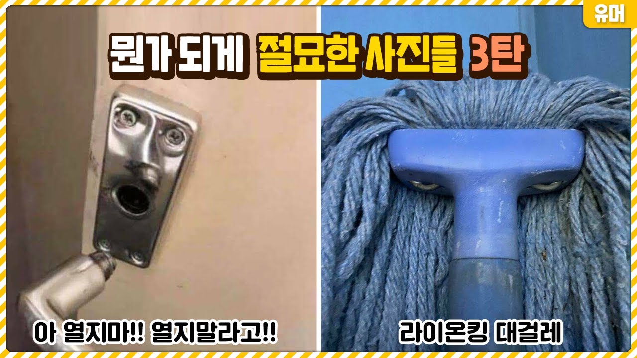 뭔가 되게 절묘하게 찍힌 사진들 3탄ㅋㅋㅋㅋㅋㅋㅋㅋㅋ