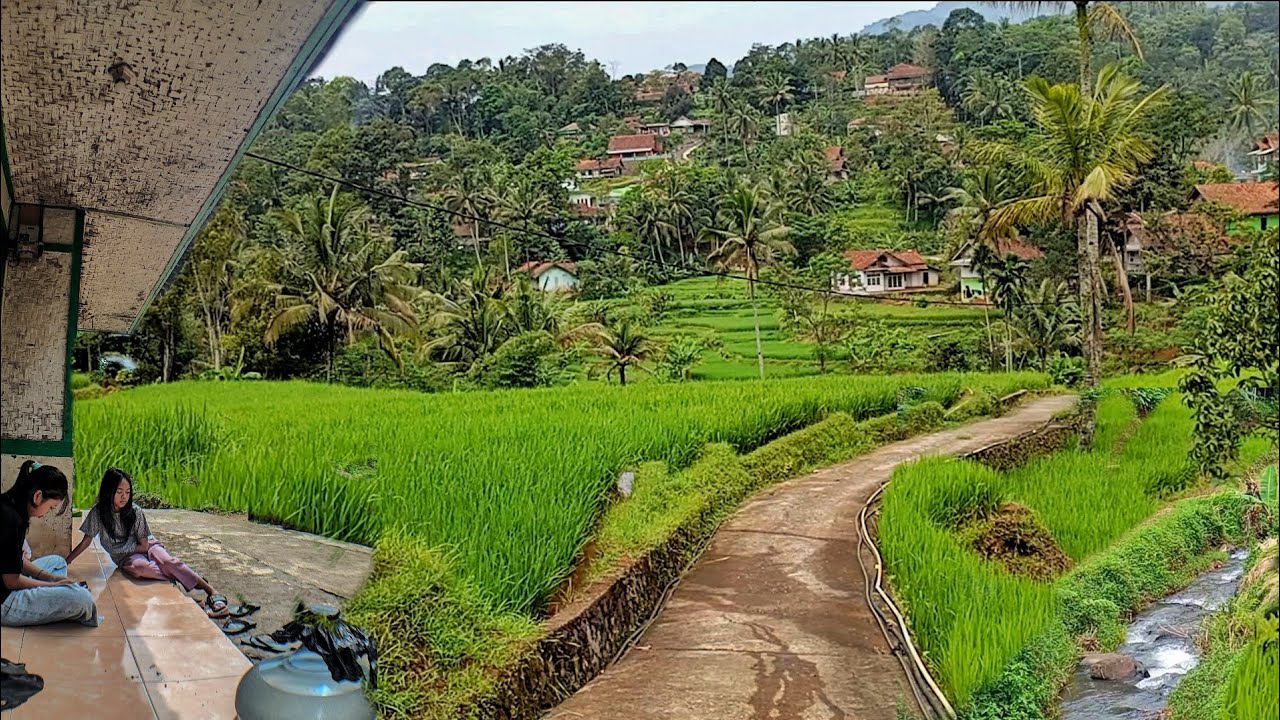Indah subur tiada duanya‼️suasana kampung di lereng gunung bikin hidup makin damai