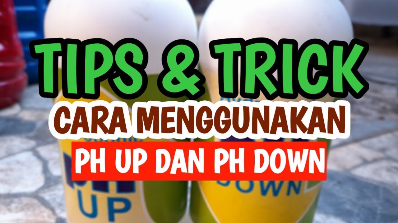 CARA MENGGUNAKAN PH UP DAN PH DOWN UNTUK HIDROPONIK