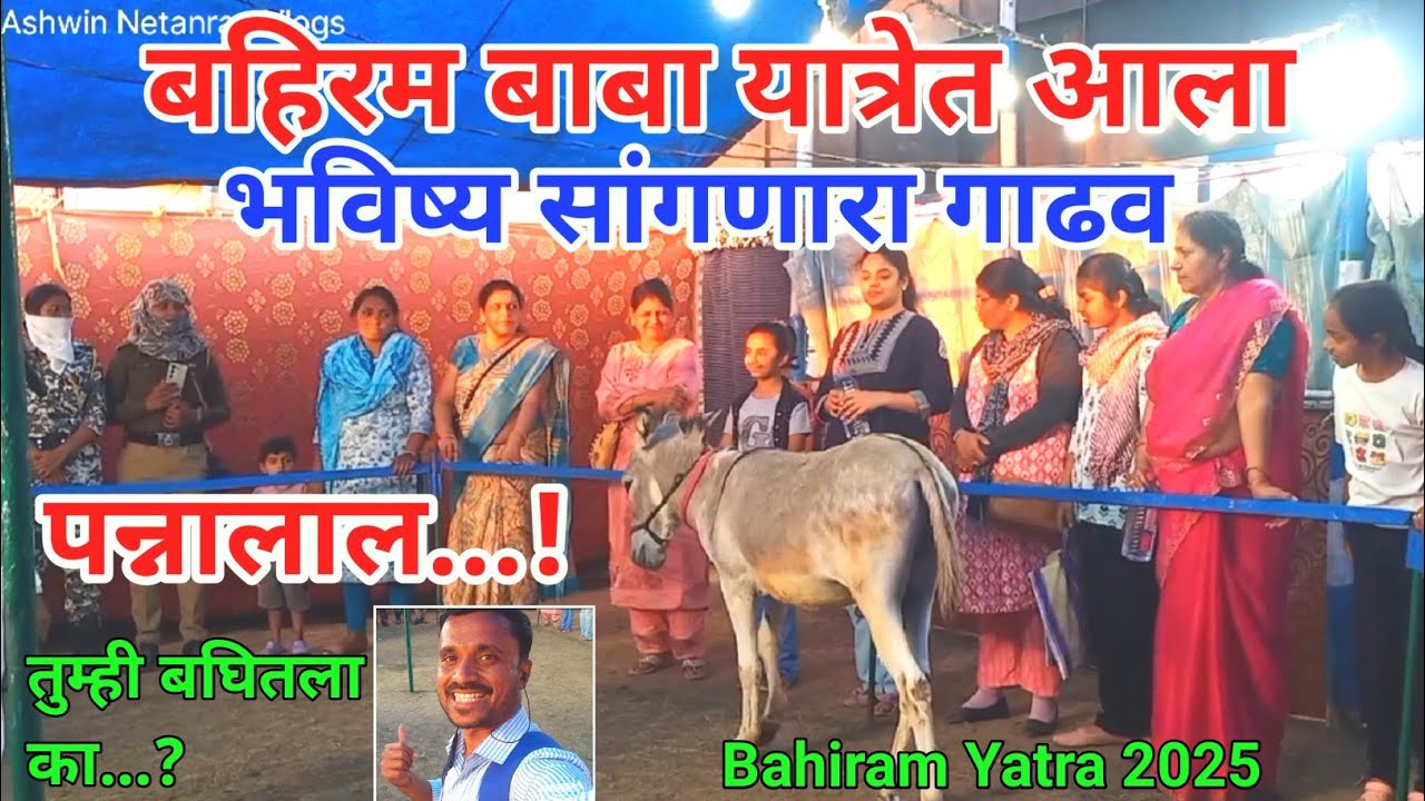 बहिरम यात्रेत आला भविष्य सांगणारा गाढव | Bahiram Yatra 2025 | bhavishya Sangnara Gadhav