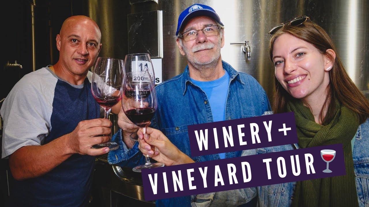 Mendoza WINERY + VINEYARD Tour 🍇 | Visiting BODEGAS LUMINIS in Maipu, Argentina 🍷