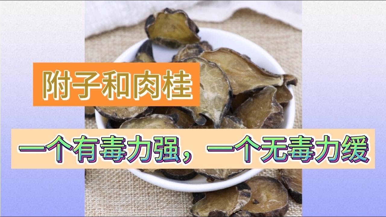 附子和肉桂的比较，都能温阳散寒，而附子毒大力强，肉桂无毒力缓