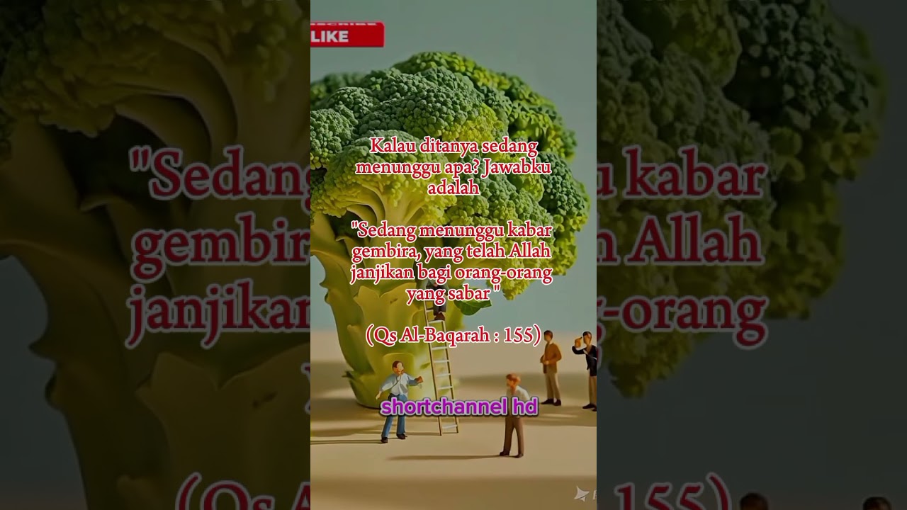 Kata-kata mutiara kata-kata bijak kata-kata motivasi 