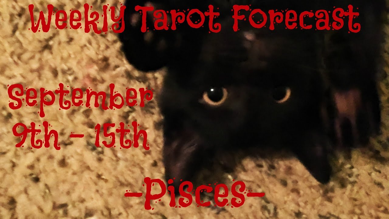 Pisces ~ Sincere apologies & empowerment! ~ Weekly Tarotscope Sept 9th - 15th