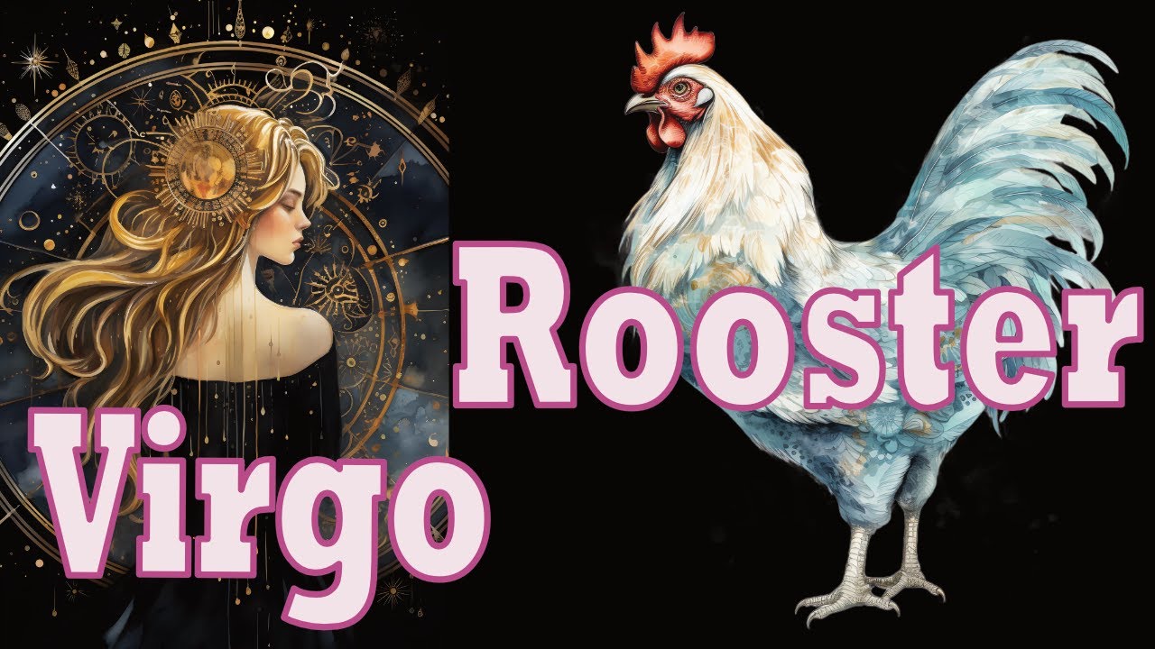 Virgo Rooster Discussion