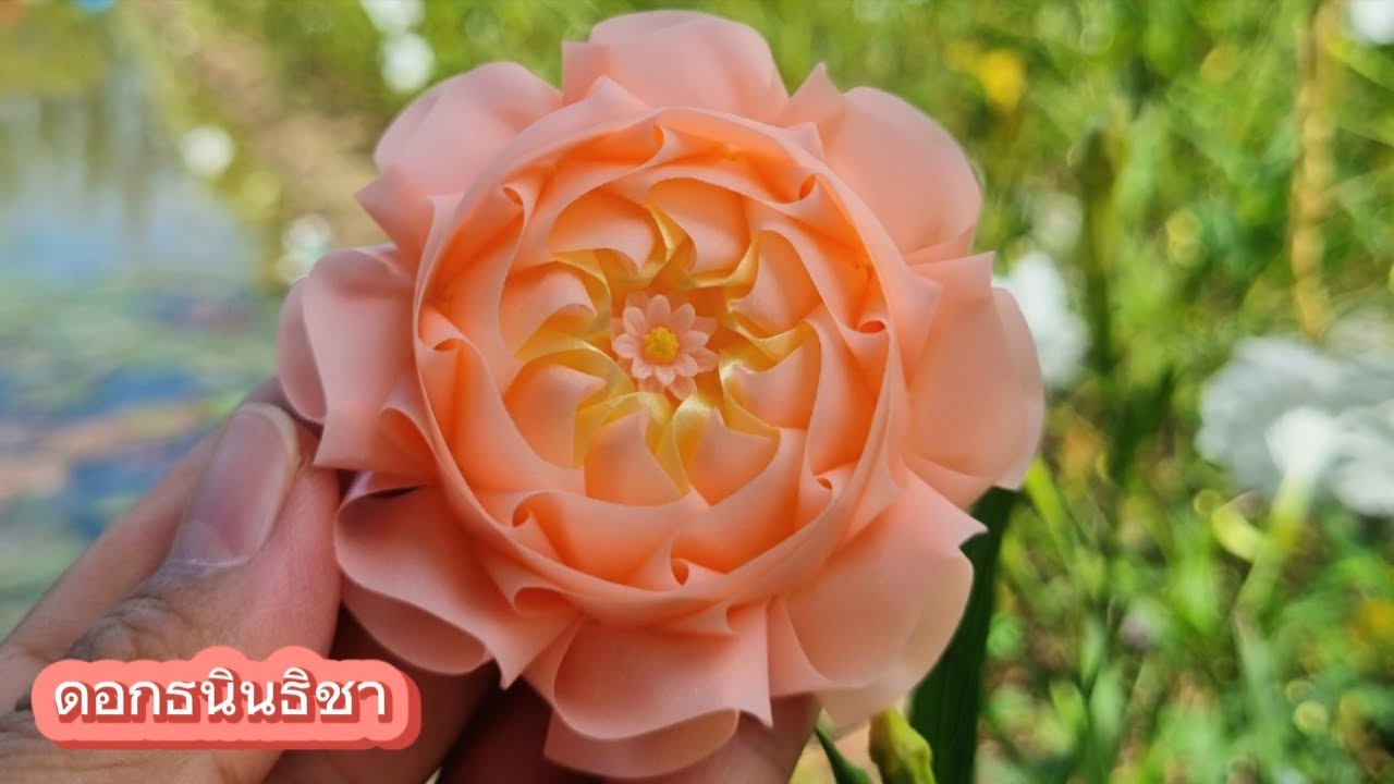 โปรยทานดอกธนินธิชา 2 (ต้นฉบับ)