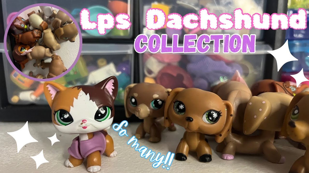 Lps: Коллекция такс!!