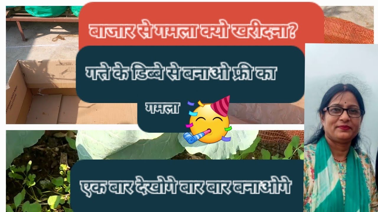 गत्ते के डिब्बे मे लगाए पौधे, न गमले की जरूरत ,न खाद और न बजन की चिन्ता!