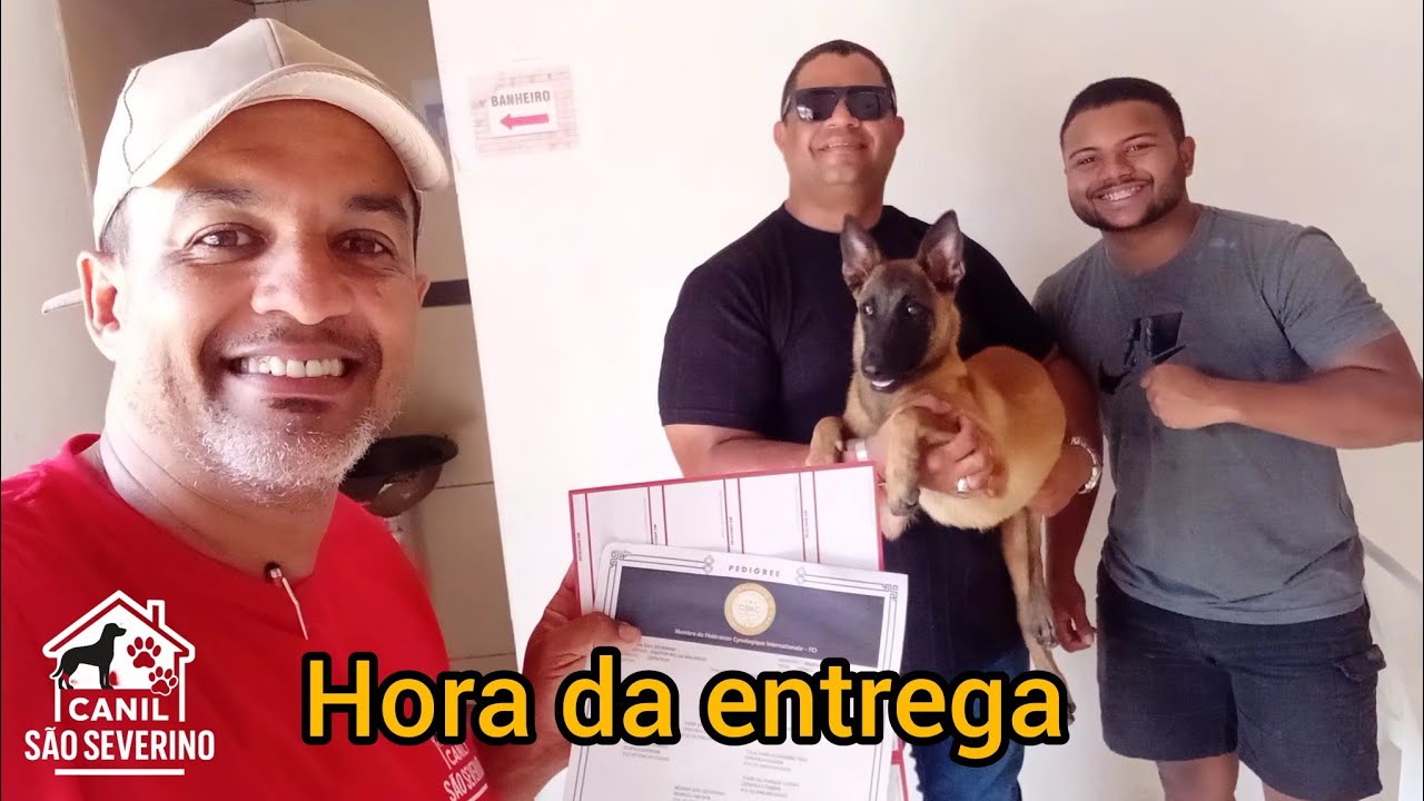 Entregamos na cidade de Passos de Camaragibe em Alagoas uma linda Cadela!