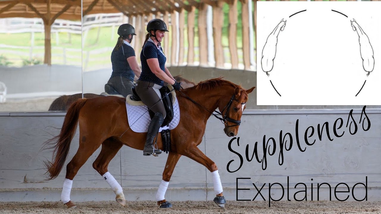Lateral and longitudinal suppleness in horses // Best exercises for suppleness