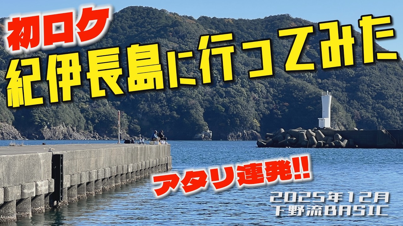 初ロケ！紀伊長島港でフカセ釣り　アタリ連発で楽しすぎる　2025年12月【下野流BASIC】下野正希　ふかせ釣り　自立ウキ　黒鯛釣り　フカセ釣り　三重県海釣り