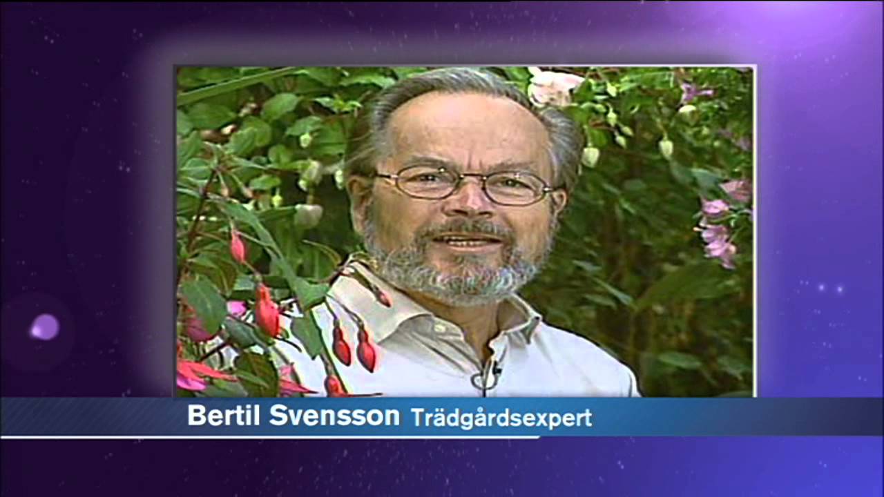Se n&aring;gra klassiska Ejeborg-imitationer: SVT