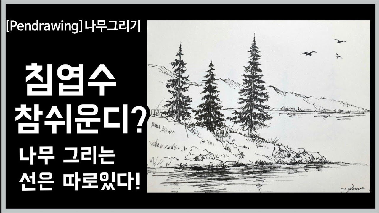 [펜드로잉]펜으로 나무 그리는 쉬운 방법/꿀팁대방출/Drawing conifers