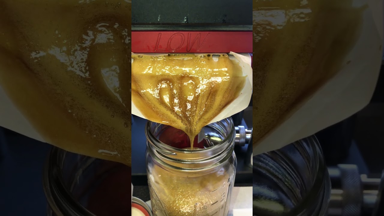 Food Grade hash rosin being pressed #cannabiseducation