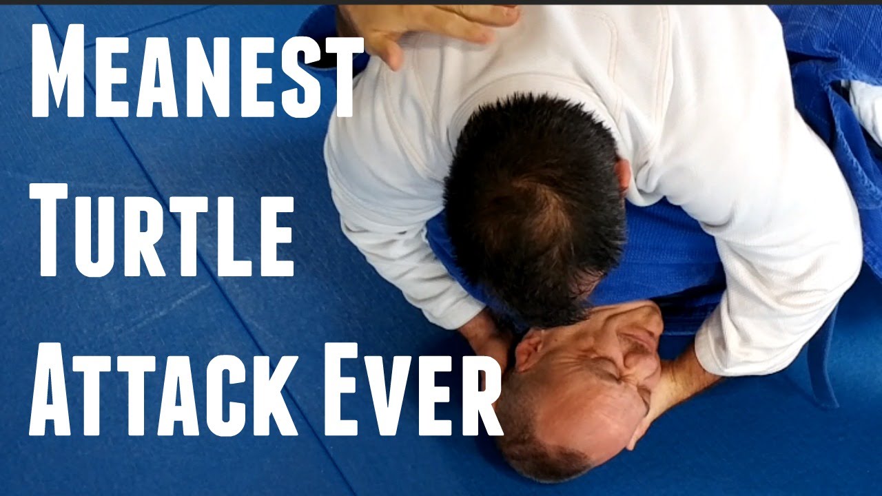 Meanest Turtle Attack Series