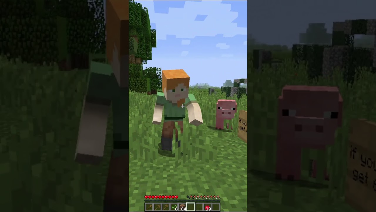 (Alex Vs Steve) Part 7 PVP #minecraft #shorts