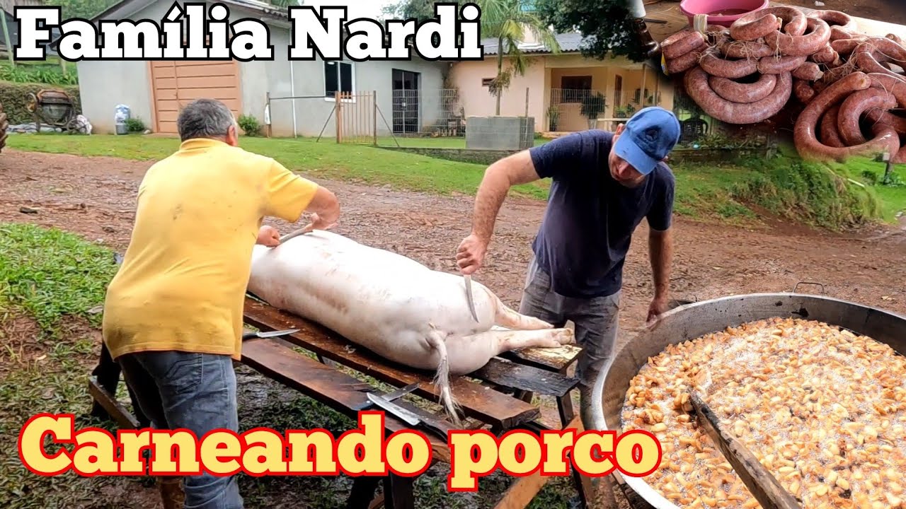 O Silvio resolveu Abater um porco hoje. Carneando porco no interior. Fazendo salame, torresmo, banha