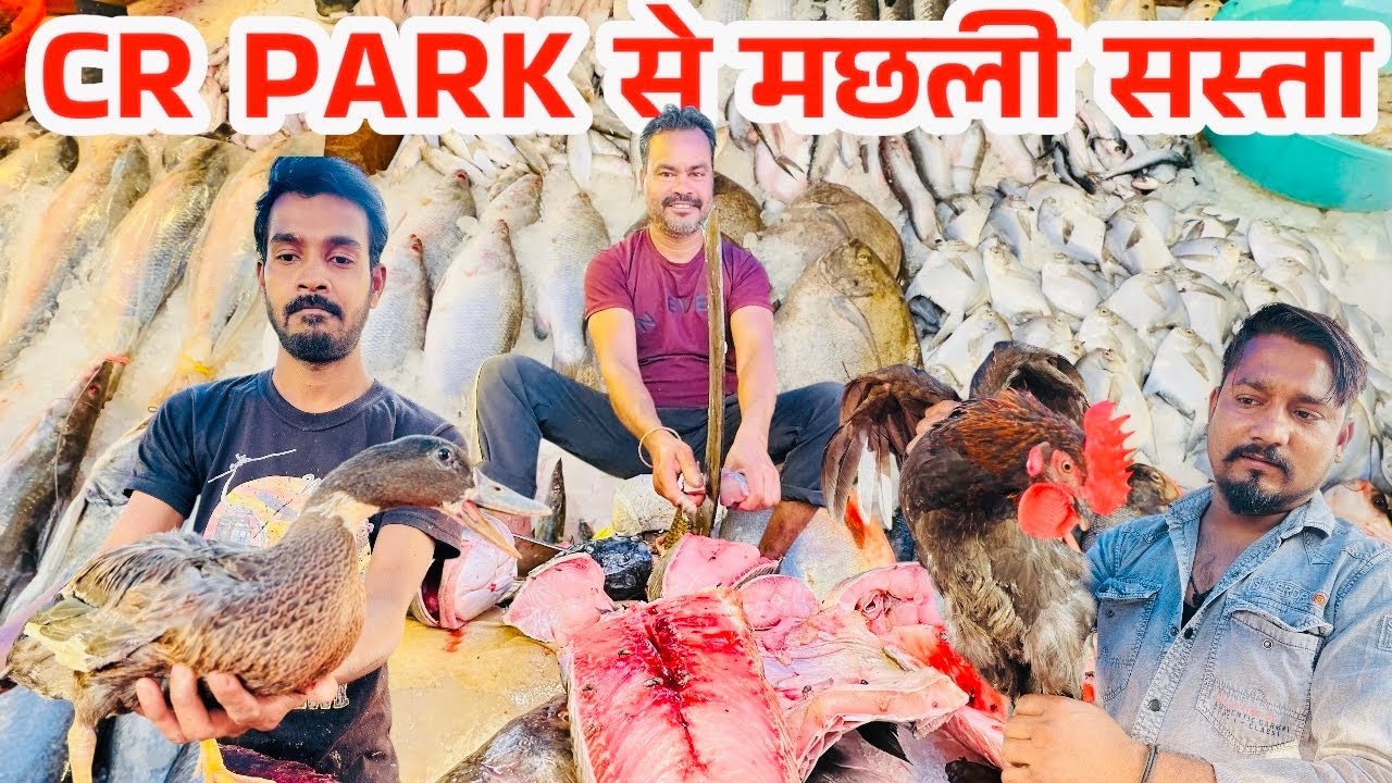  Govindpuri fish market |govindpuri chicken market|govindpuri fish market delhi|cr park Fish Market 