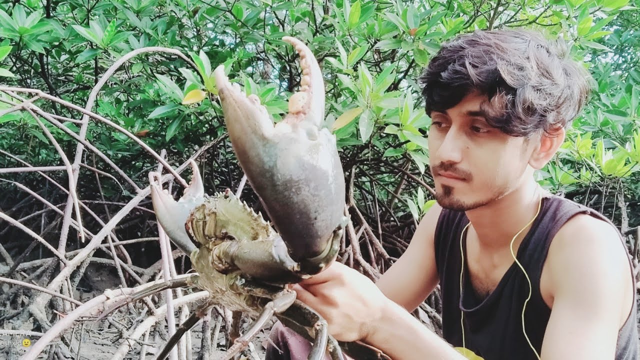 Sundarban vs Andaman, (बड़ा केकड़ा पकड़ने वाला वीडियो) Amazing Catch Giant Mud Crab at Mud Sea Side