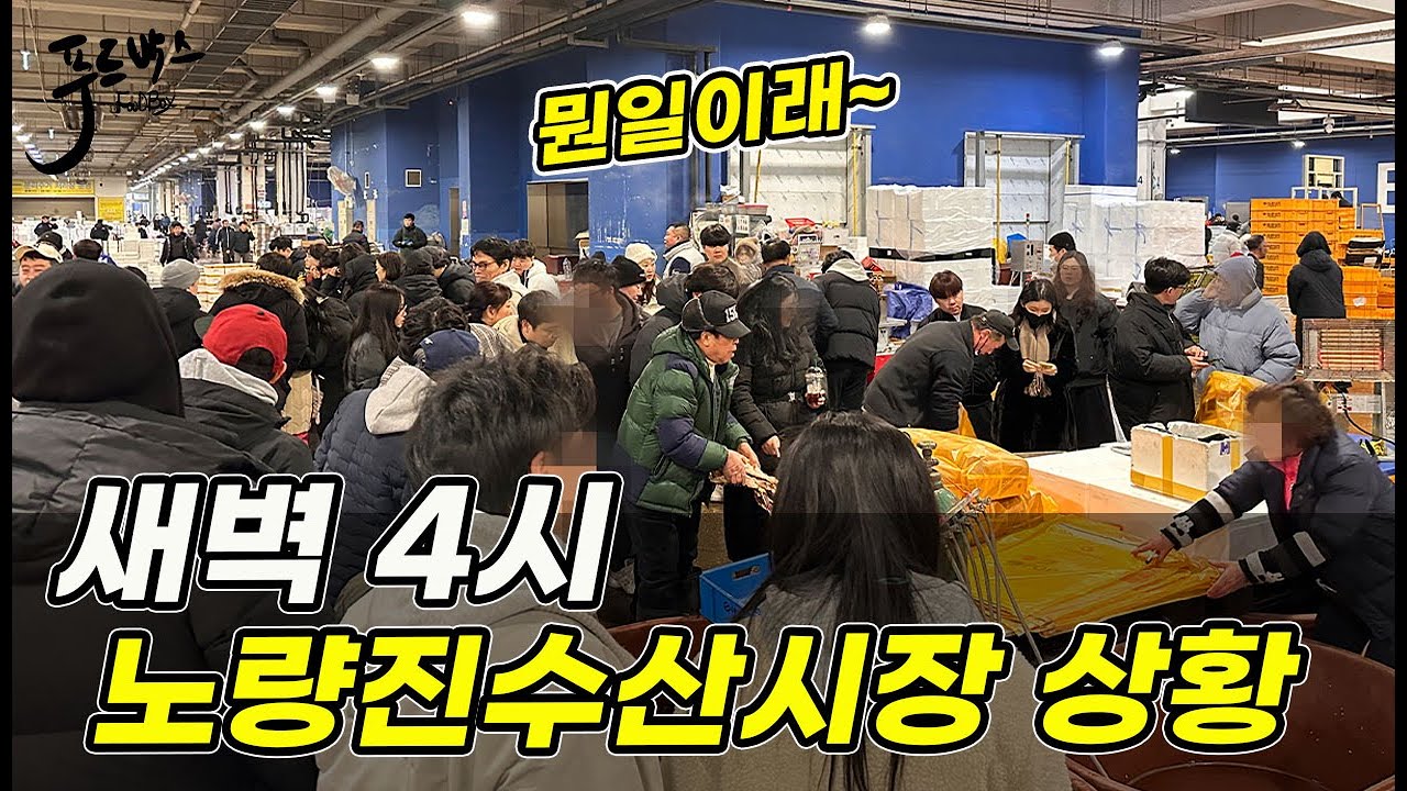 25일 새벽 4시  노량진수산시장 상황 사람들이 뭘 사러 왔을까? 노량진수산시장 20251225
