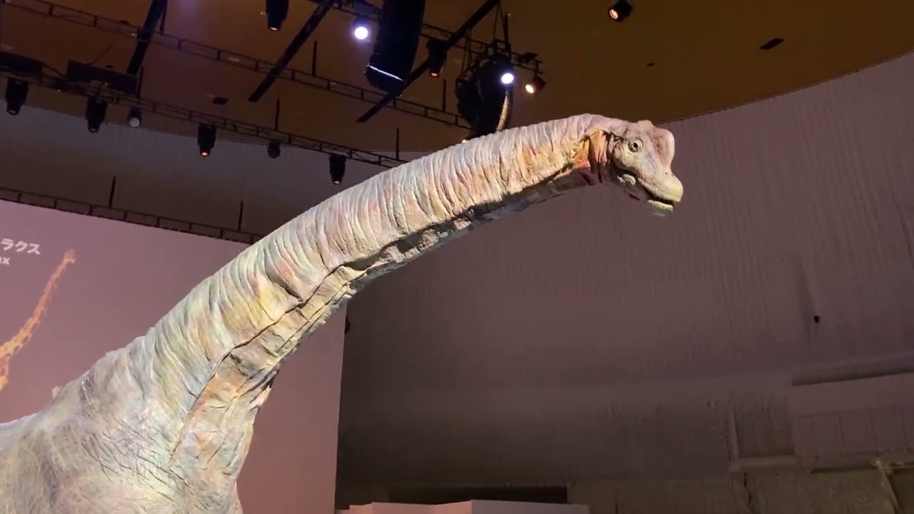 万博　福井恐竜ショー