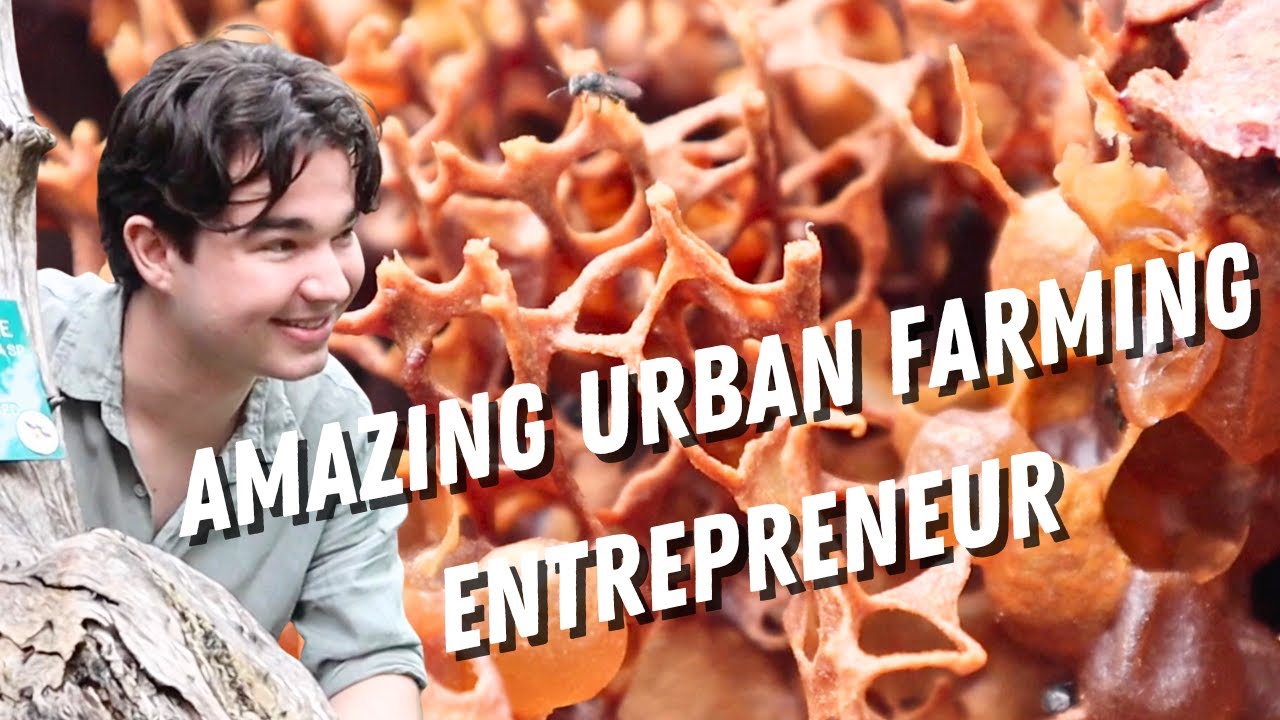 😃🐝Know about Australian Native Bees?: Get Ready to Be Inspired by Urban Agriculture!