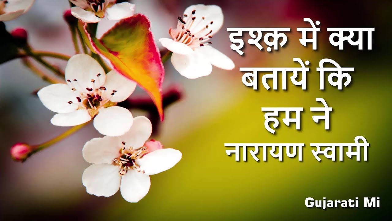 Ishq Mein Batayein Kya Hum Ne Narayan Swami Bhajan - Gujarati Mi