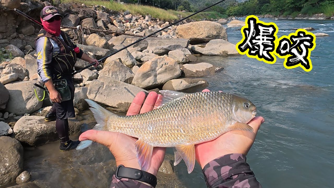 本流釣爆咬的一天！原本的釣點因為工程變得水濁,換了釣點後像是找的魚窩！還一次達成兩的魚種的紀錄！超級開心！！