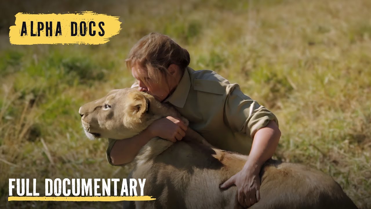 Operation to Rescue Captive Lions | Lion Queen | Episode 4 | Full Documentary