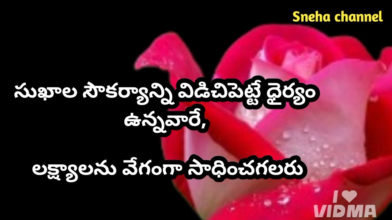 wonderful quotes#888#jivithasathyalu |Million dalar quotes |‌|Sneha channel