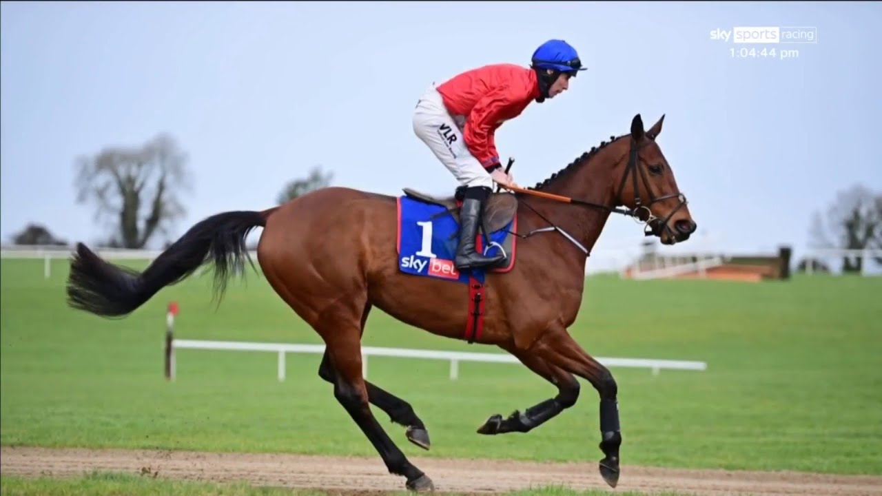 Cheveley Park Stud are out! Envoi Allen and other stars to leave Gordon Elliott