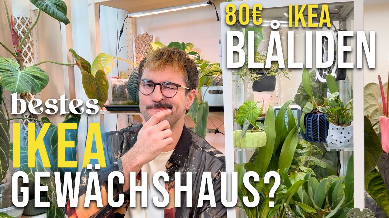 DIY IKEA Greenhouse: So habe ich die BLALIDEN Vitrine umgebaut 🌿